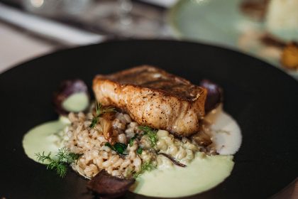 Salmon on herb puree with grains